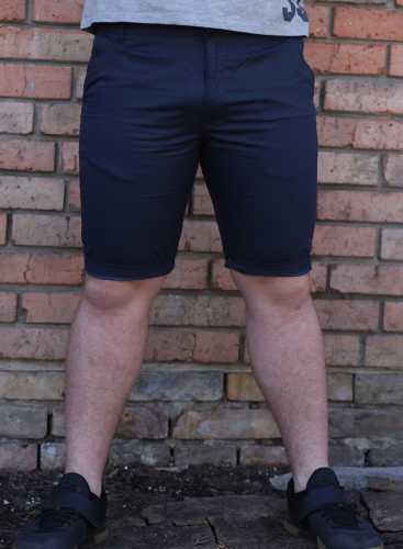 MZGZ  Шорты 711_navy