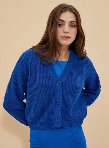 Светр L-SW-4000 BLUE