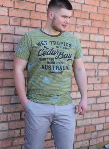 MZGZ  Шорты 711_grey