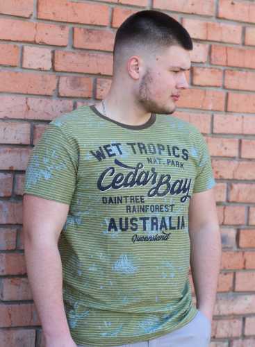 Футболка 635_haki stripe